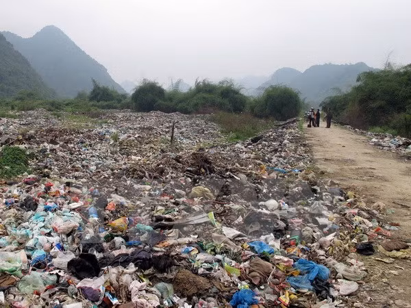 Vietnam, Japan cooperate in environmental technologies ảnh 1