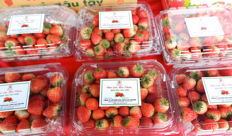 Son La strawberry, farm produce week opens in Hanoi ảnh 1