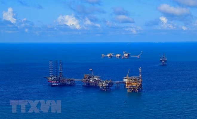 Completion of institutions needed to develop oil and gas sector ảnh 1