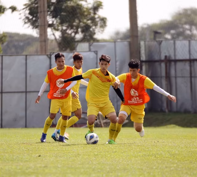 Vietnam must beat Jordan: coach Park Hang-seo ảnh 1