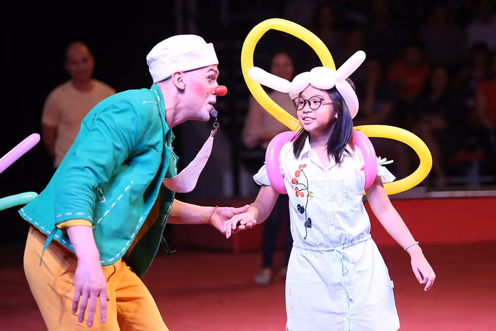 Second int’l circus gala to take place in HCM City ảnh 1