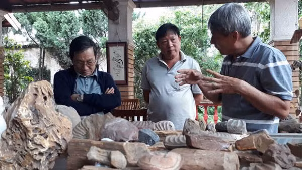 Palaeontology museum unearths Central Highlands history ảnh 1