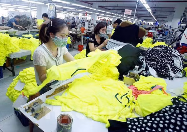 Ample room remains for Vietnamese exports to Africa ảnh 2