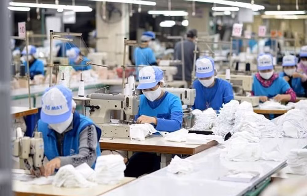Actions taken to ensure sustainable employment ảnh 1