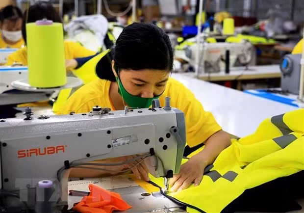 Newly established firms decrease 24% in May ảnh 1
