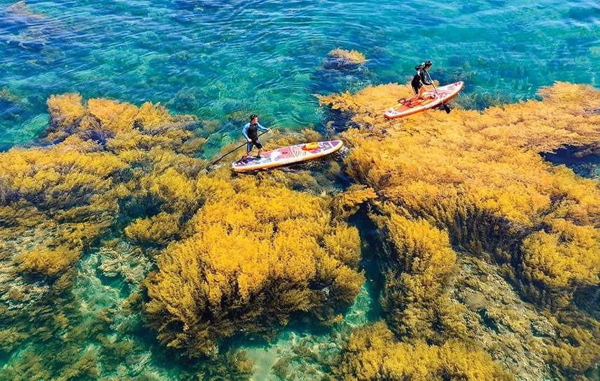 Sea and island tourism a ‘gold mine’ that needs to be tapped fully ảnh 1