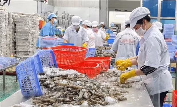 Ample room remains for Vietnamese exports to Africa ảnh 1