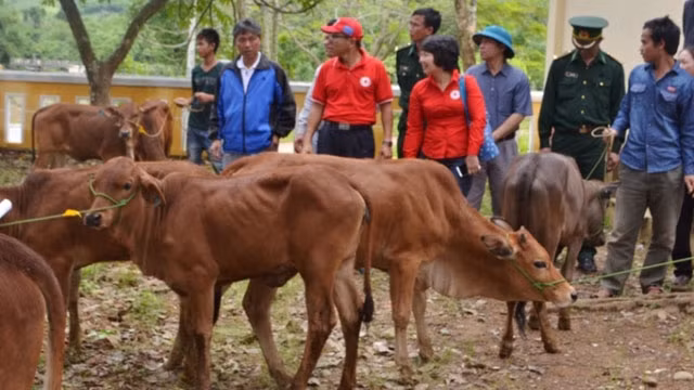 US company helps Thanh Hoa locals improve livelihoods ảnh 1