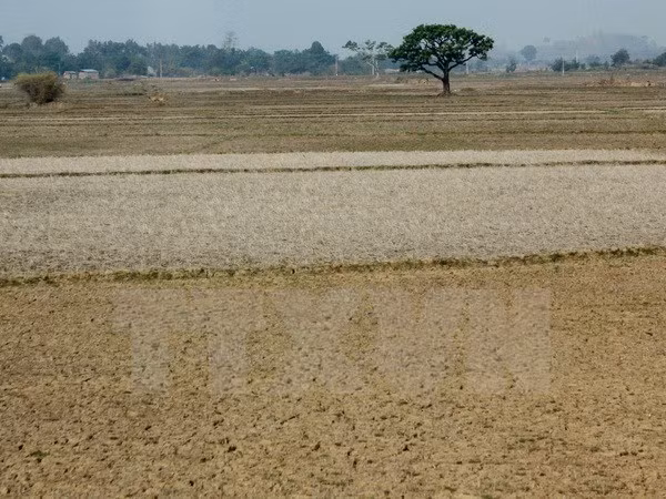 Maximum efforts to save Central Highlands from drought ảnh 1