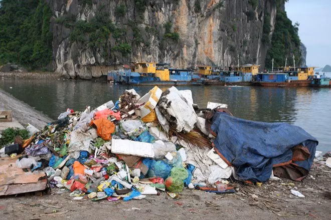 Tourism sector fights against plastic waste ảnh 1