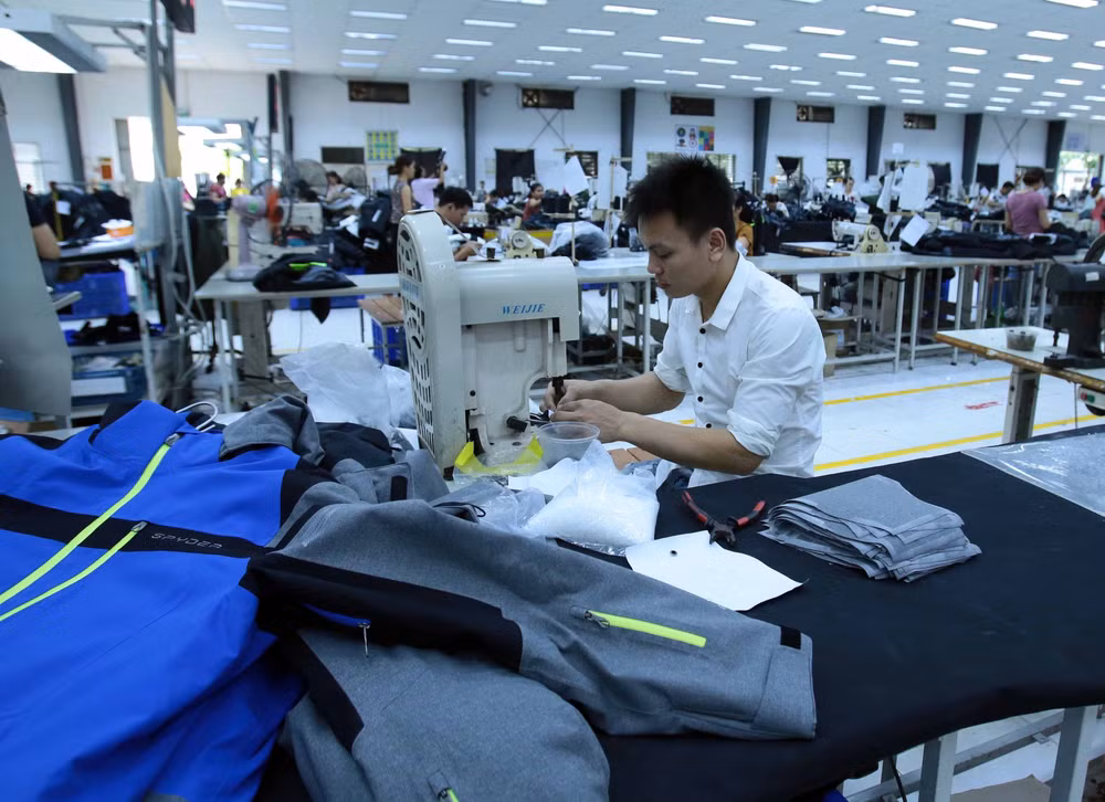Firms have high hopes on EVFTA ảnh 1