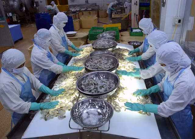 Trade pacts bring opportunities for seafood industry's sustainable growth ảnh 1
