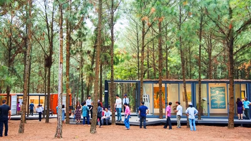 “Art in the Forest" exhibition opens ảnh 1