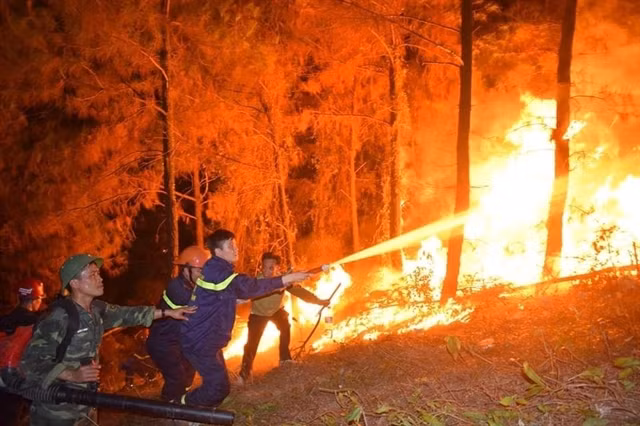 Forest fires ravage central Ha Tinh province ảnh 1