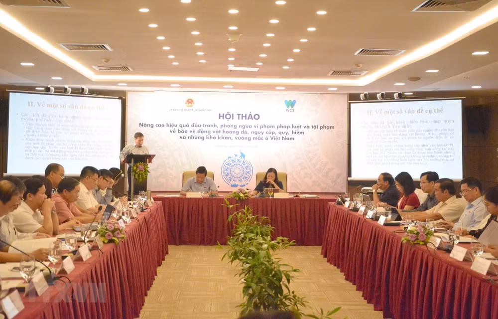 Workshop seeks to improve law on protecting wild animals ảnh 1