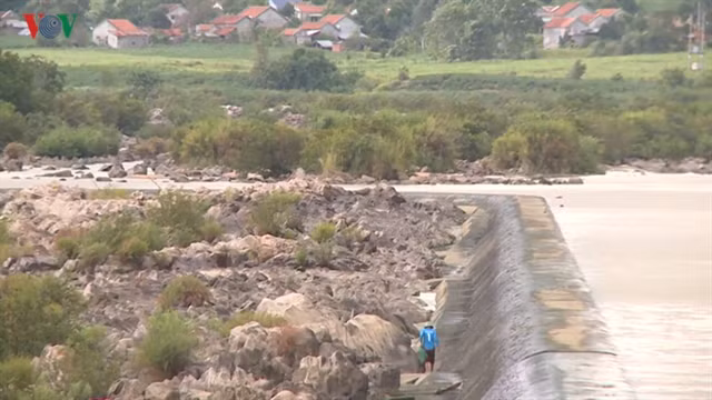 Phu Yen province faces severe drought ảnh 1