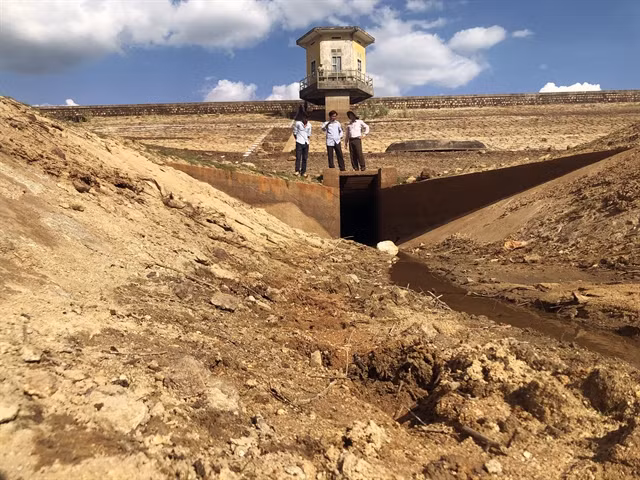 Binh Dinh experiences most serious drought in 15 years ảnh 1
