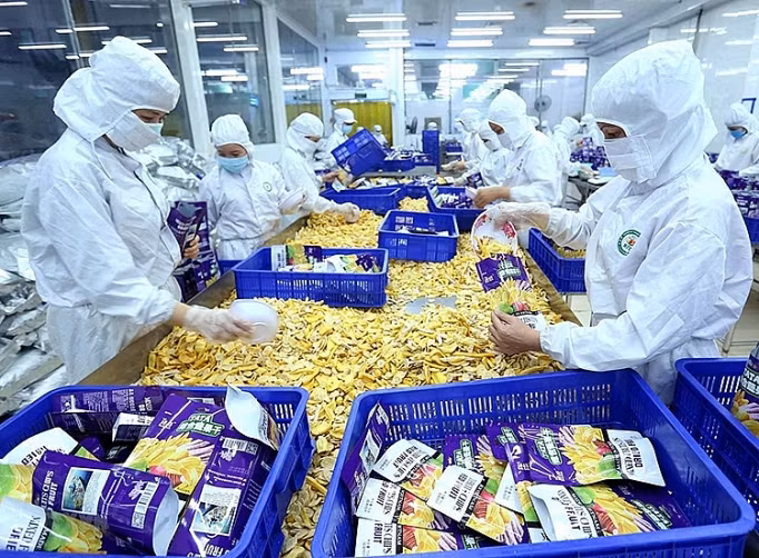 Vietnam expands export markets for farm produce ảnh 1