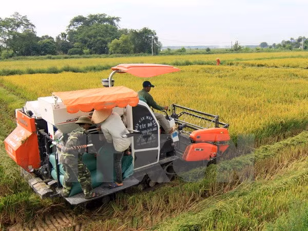 Farming sector urged to restructure as competition grows ảnh 1