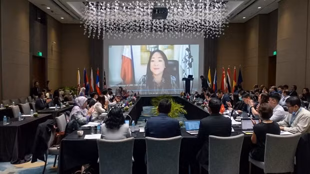 Harmonized standards can promote ASEAN digital commerce ảnh 1