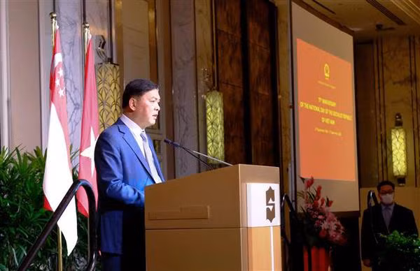 Vietnam, Singapore share fruitful all-round partnership: Ambassador ảnh 2