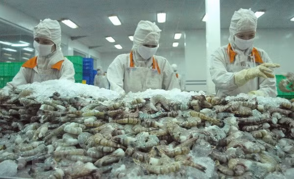 Agro-forestry-aquatic product exports rise over 13% in eight months ảnh 1