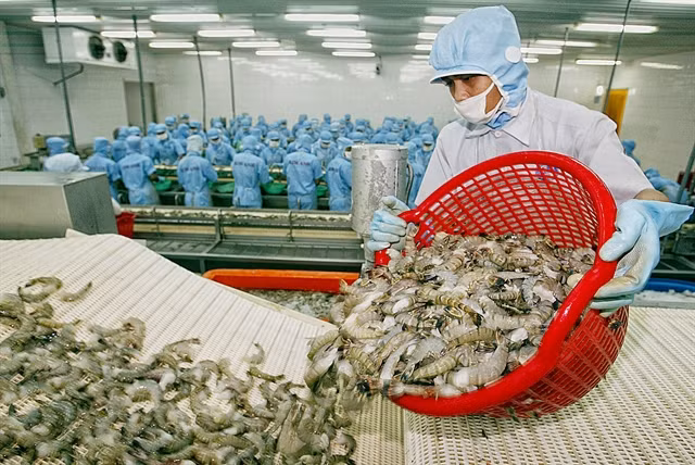 Seafood exports expected to reach 3 billion USD in Q3 ảnh 1