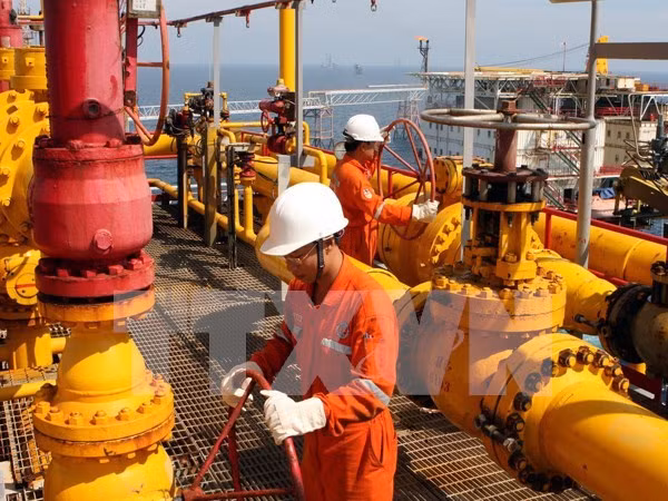 Cuu Long JOC oil production likely to hit 400 million barrels this year ảnh 1