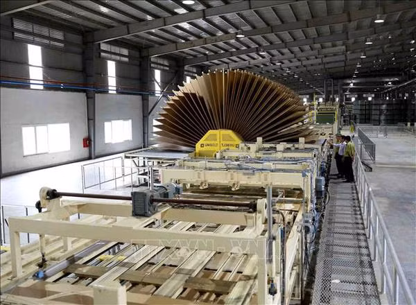Agro-forestry-aquatic product exports rise over 13% in eight months ảnh 2
