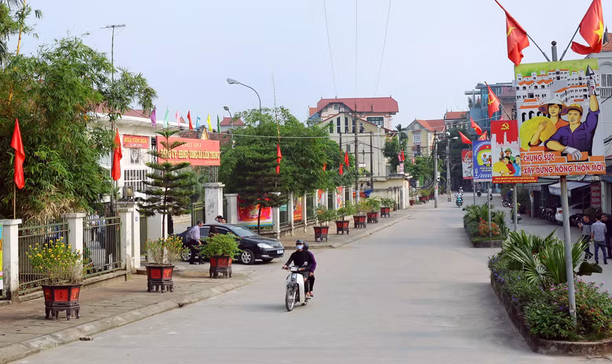 Hanoi to spend over 3.8 million USD on developing new-style rural areas ảnh 1