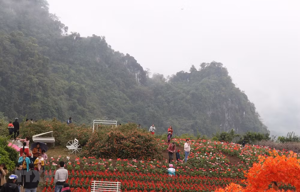 New tourism programmes promise to attract tourists to Yen Bai ảnh 1