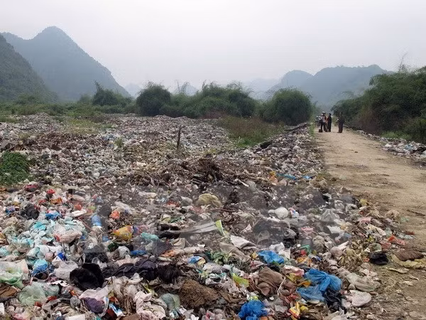 HCM City district pilots recycling plant waste ảnh 1