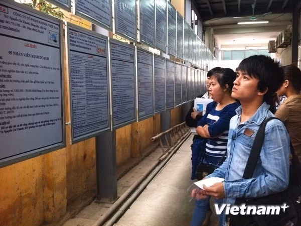 Vietnam to carry out labour force survey in 2017 ảnh 1