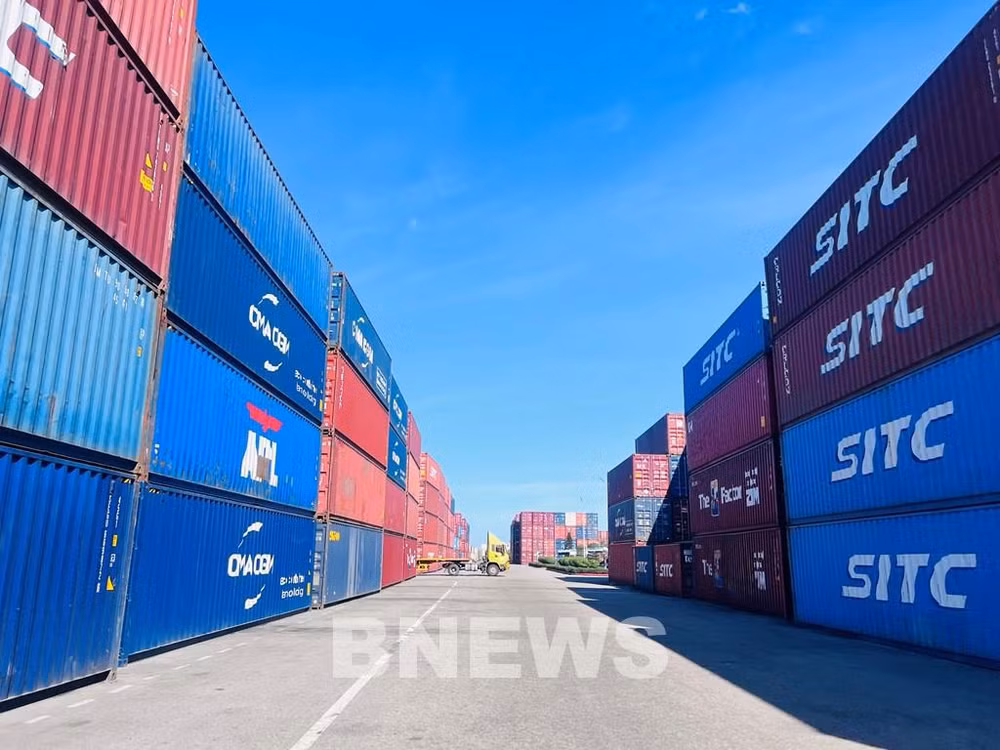 Quang Nam's seaports expected to make breakthroughs in near future ảnh 2