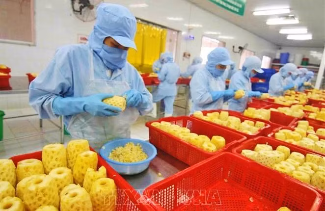 Vietnam eyes global top 10 in agricultural processing ảnh 1