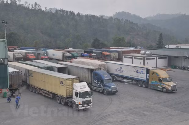 Official suggests solutions to goods congestion at border gates ảnh 1
