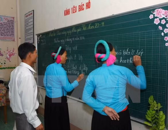 Campaign brings literacy to 800,000 people in Dong Thap ảnh 1
