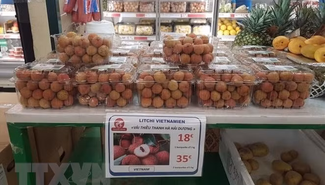 OVs asked to bring Vietnamese farm produce to global value chain ảnh 1