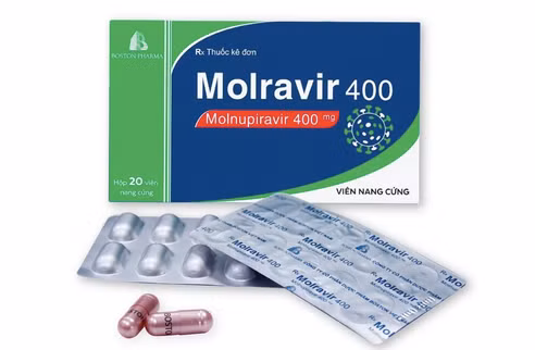 Ministry of Health publicises prices of Molnupiravir drugs produced in Vietnam ảnh 1