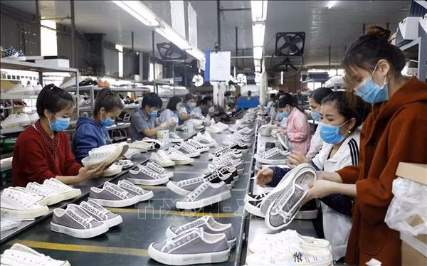 Positive signs seen in footwear export ảnh 1