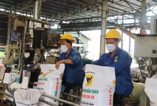 Fertiliser exports soar 682 percent in January ảnh 1 Fertiliser exports soar 682 percent in January ảnh 1