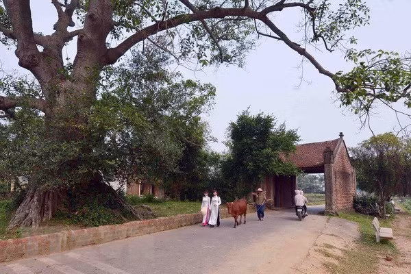 Duong Lam first Vietnamese ancient village to become national relic ảnh 1