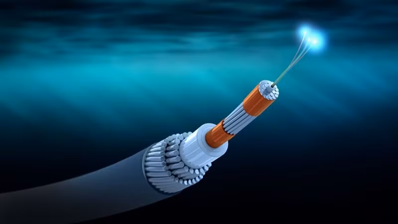 Internet slows in Vietnam as undersea cables encounter problems ảnh 1