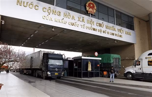 Vietnam exports 287 tonnes of farm produce to China through Lao Cai from Feb.1-3 ảnh 1