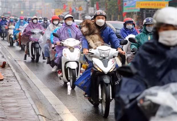 Strong cold remains in northern region ảnh 1