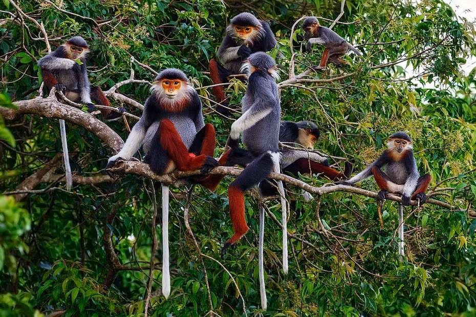 Ninh Thuan secures sustainable future through biodiversity ảnh 1