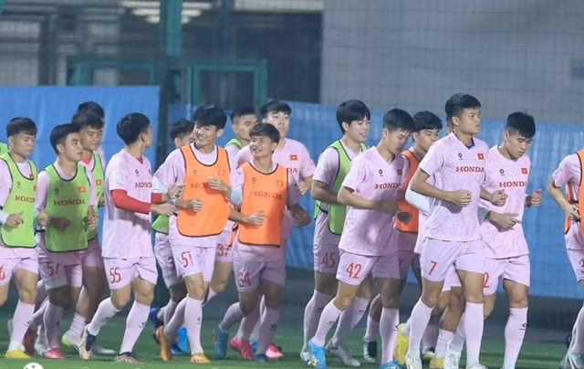 Vietnam ready to face Tajikistan in friendly matches ảnh 1