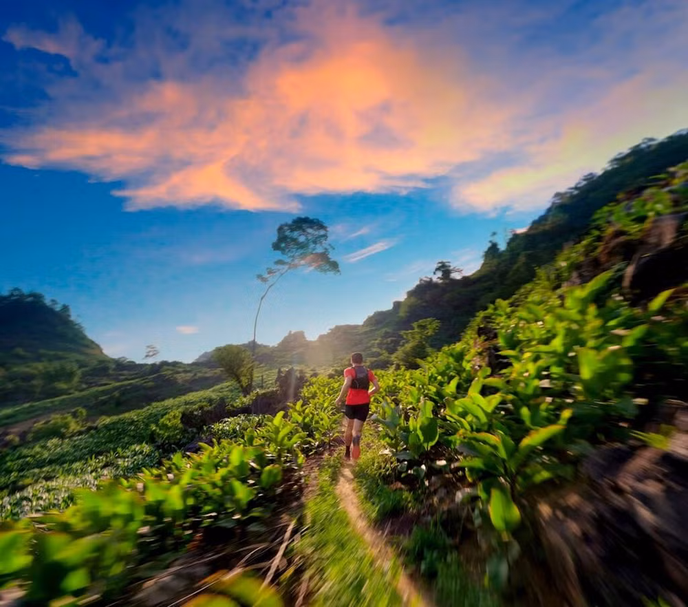 More than 2,200 runners to join Vietnam Ultra Marathon ảnh 1