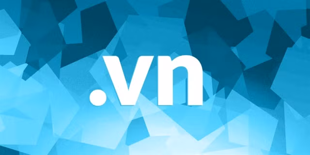 Changes in regulations on ".vn" domain names proposed ảnh 1