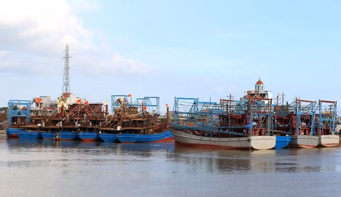 Nam Dinh province resolved to fight IUU fishing ảnh 1